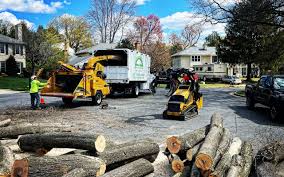 Reliable Marlin, TX  Tree Services Solutions