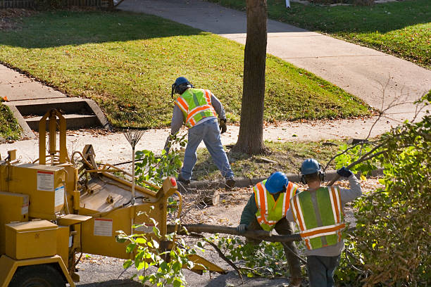  Marlin, TX Tree Services Pros